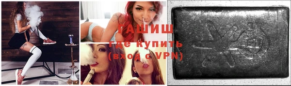 хмурый Абаза