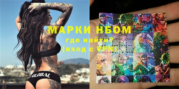 хмурый Абаза