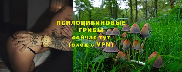 спиды Алексин