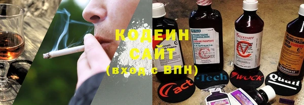 хмурый Абаза