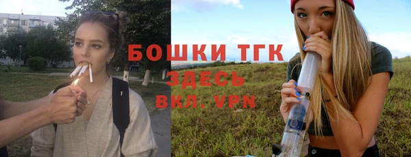 шишки Алексеевка
