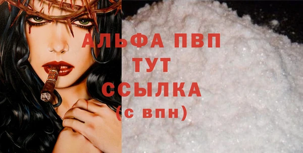 хмурый Абаза
