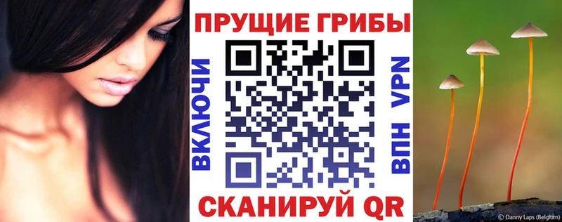 мега tor  Тулун  Галлюциногенные грибы мухоморы 