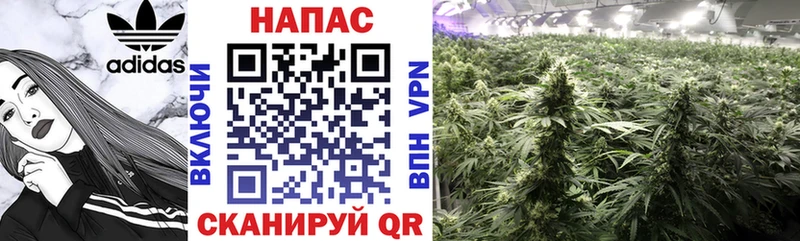 МАРИХУАНА OG Kush Тулун